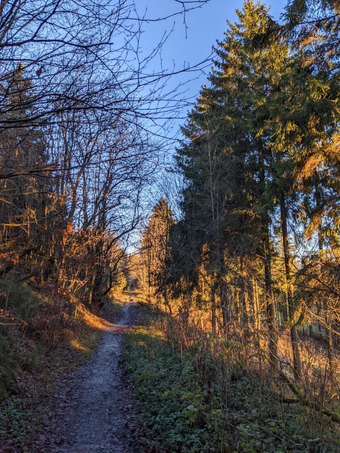 Zentrale Und Gemuetliche Ferienwohnung In Winterberg Nah An Der Natur Eksteriør bilde