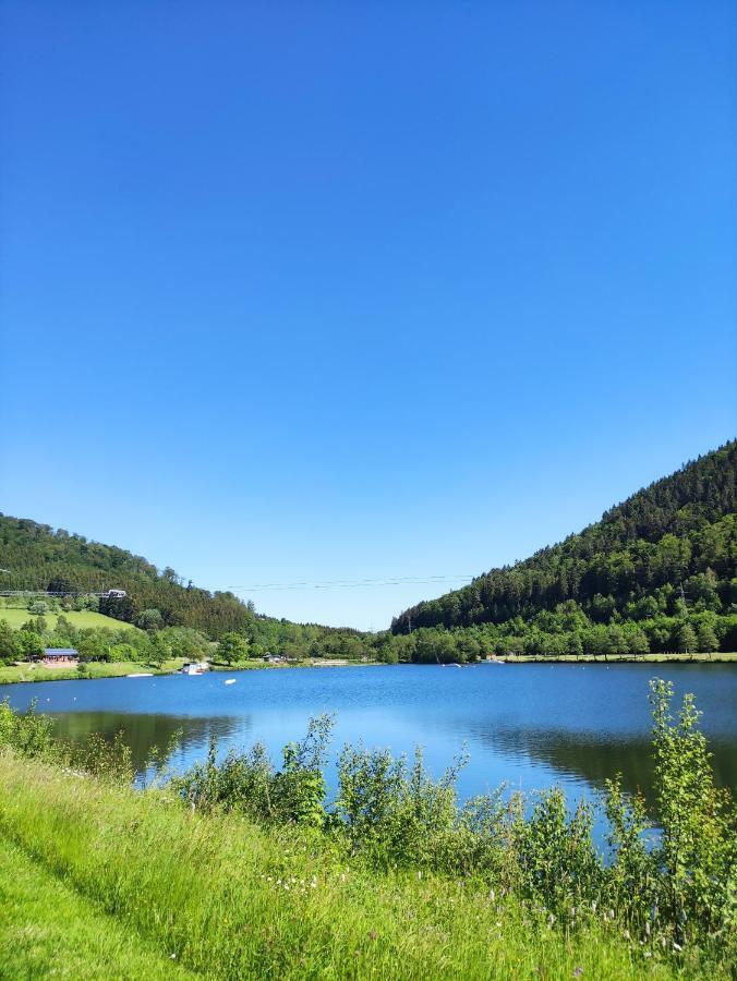 Zentrale Und Gemuetliche Ferienwohnung In Winterberg Nah An Der Natur Eksteriør bilde