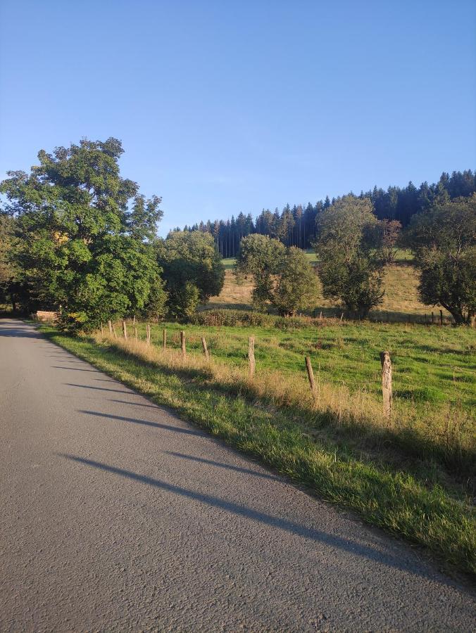 Zentrale Und Gemuetliche Ferienwohnung In Winterberg Nah An Der Natur Eksteriør bilde