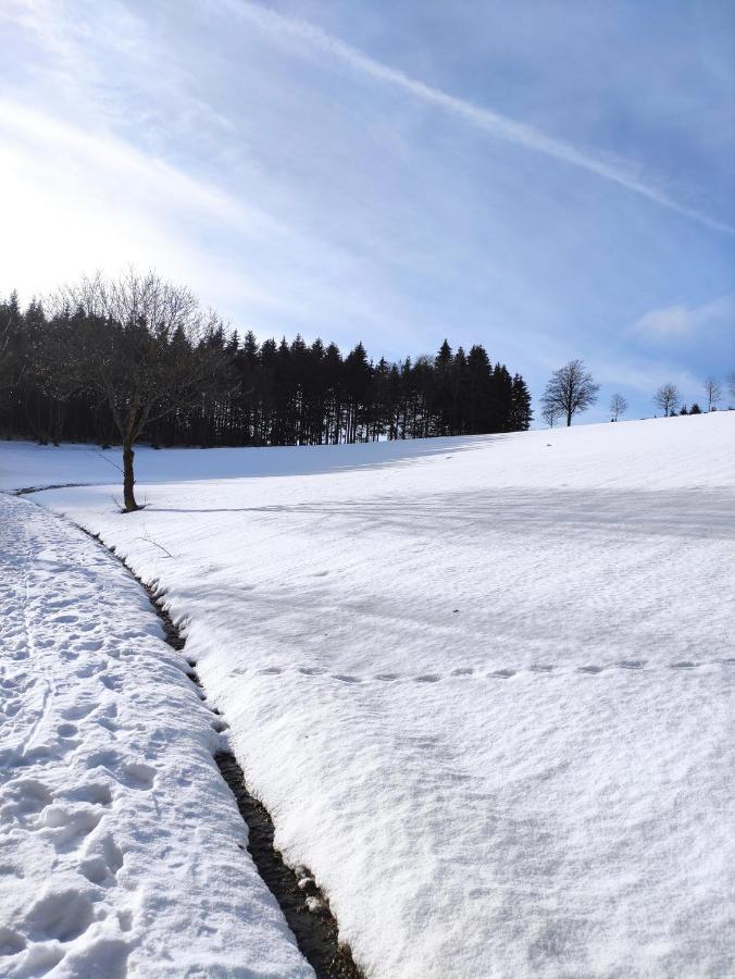 Zentrale Und Gemuetliche Ferienwohnung In Winterberg Nah An Der Natur Eksteriør bilde
