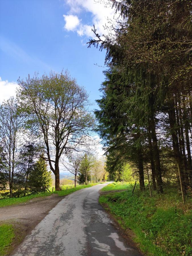 Zentrale Und Gemuetliche Ferienwohnung In Winterberg Nah An Der Natur Eksteriør bilde
