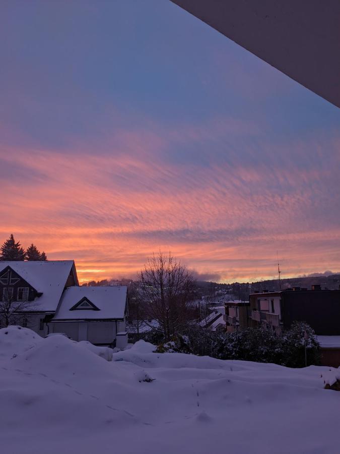 Zentrale Und Gemuetliche Ferienwohnung In Winterberg Nah An Der Natur Eksteriør bilde